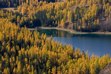 Autumn lake