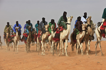 Mali, festival Tamadacht