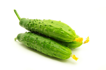 cucumbers