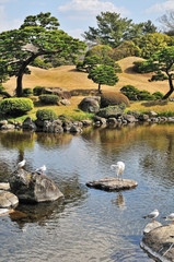 Fototapeta na wymiar Ogród japoński