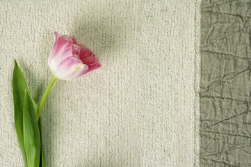Wall-paper with a tulip on a linen fabric