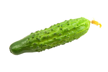 Single cucumber