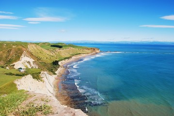 Küste Cape Kidnappers Neuseeland