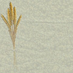 fond blé