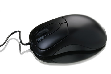 gray computer mouse