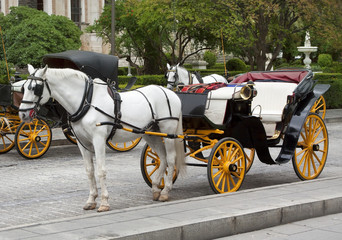Pferdekutsche