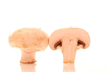 Fototapeta premium pieczarka 2