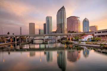 Beautiful pink sunrise and reflections in downtown Tampa - obrazy, fototapety, plakaty