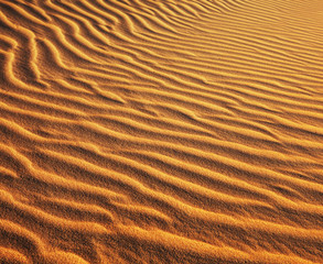 Sand desert