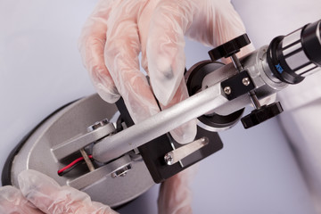 Under the microscope