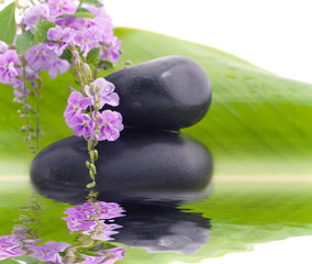 Composition Zen avec reflet