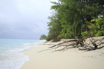 denis island seychelles