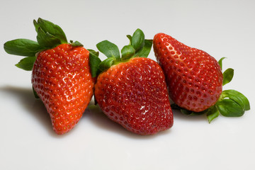 fragole