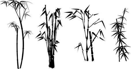 bamboo twigs - obrazy, fototapety, plakaty