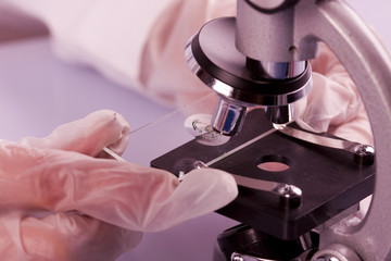 Under the microscope