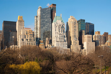 Skyline of buildings from Central Park, New York City, USA