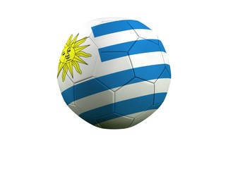 WM Football Uruguay