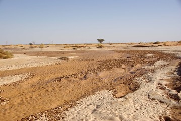 Oued dans le desert de Libye