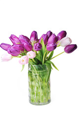 tulips in glass vase