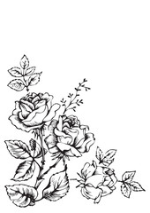antique flowers corner engraving (vector)