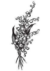 antique flowers engraving (vector)