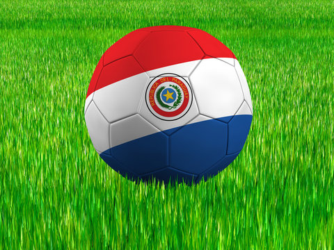 WM Football Paraguay