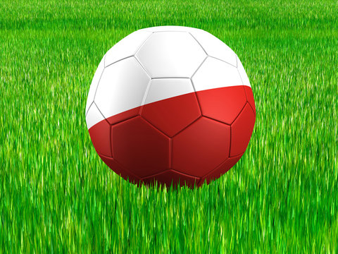 WM Football Polen