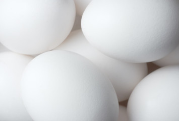 Eggs solid background