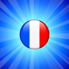 France Flag Icon on Internet Button