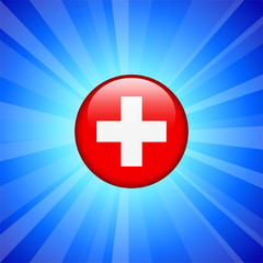 Switzerland Flag Icon on Internet Button