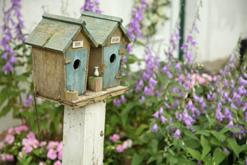 Vogelhäuschen