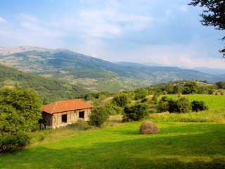 Obraz premium farm landscape