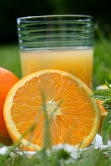 jus d'oranges