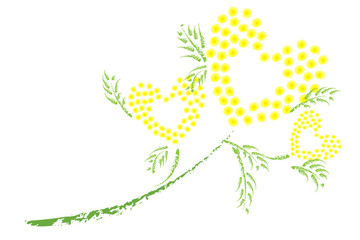 Rami di mimosa astratti