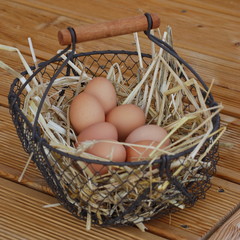 panier d'oeufs 2