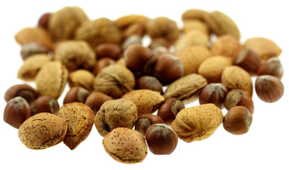 fruits secs d'automne, noix, noisettes, amandes, fond blanc