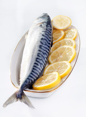 mackerel with lemon.
