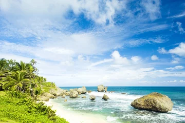 Fototapeten Bathsheba, East coast of Barbados, Caribbean © Richard Semik