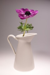 Vase mit Blume