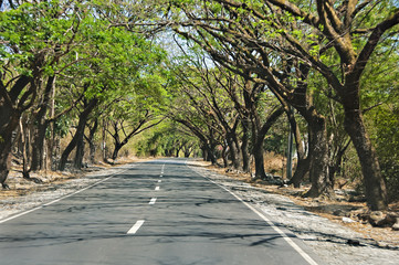 Countryside Road