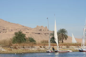 Foto auf Alu-Dibond Egypte © vic