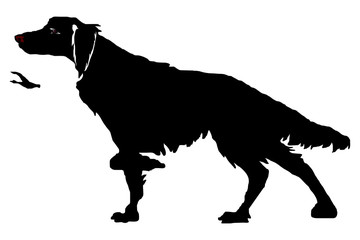 The hunting dog in a rack, a duck, a silhouette