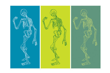 Skeletons