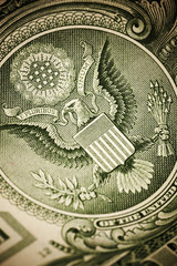 dollar concept