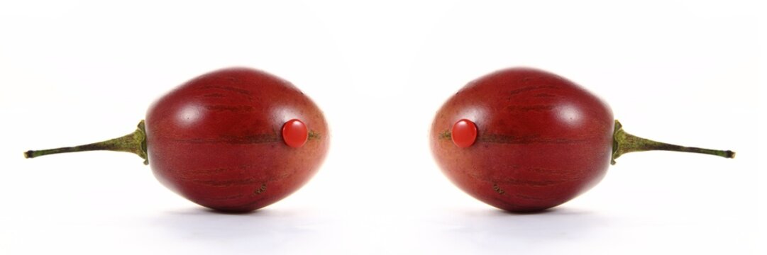 Tamarillos en t&ecirc;te &agrave; t&ecirc;te