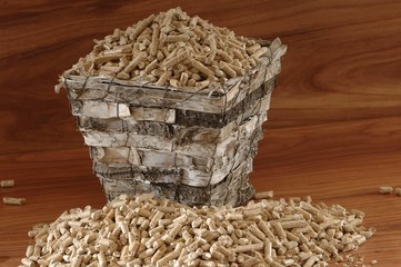 Holzpellets als regenerative Energie aus Holz