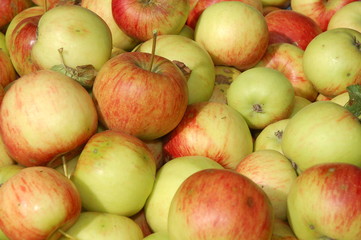 Apples