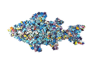 fish made from the puzzle , isolated