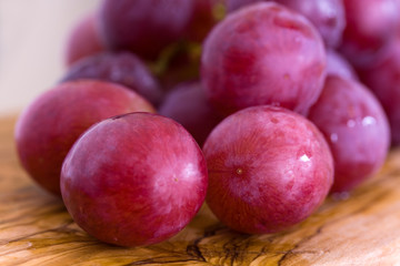 Rote Trauben - vinis vinifera