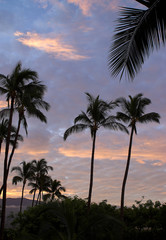Fototapeta na wymiar Sunrise on Maui